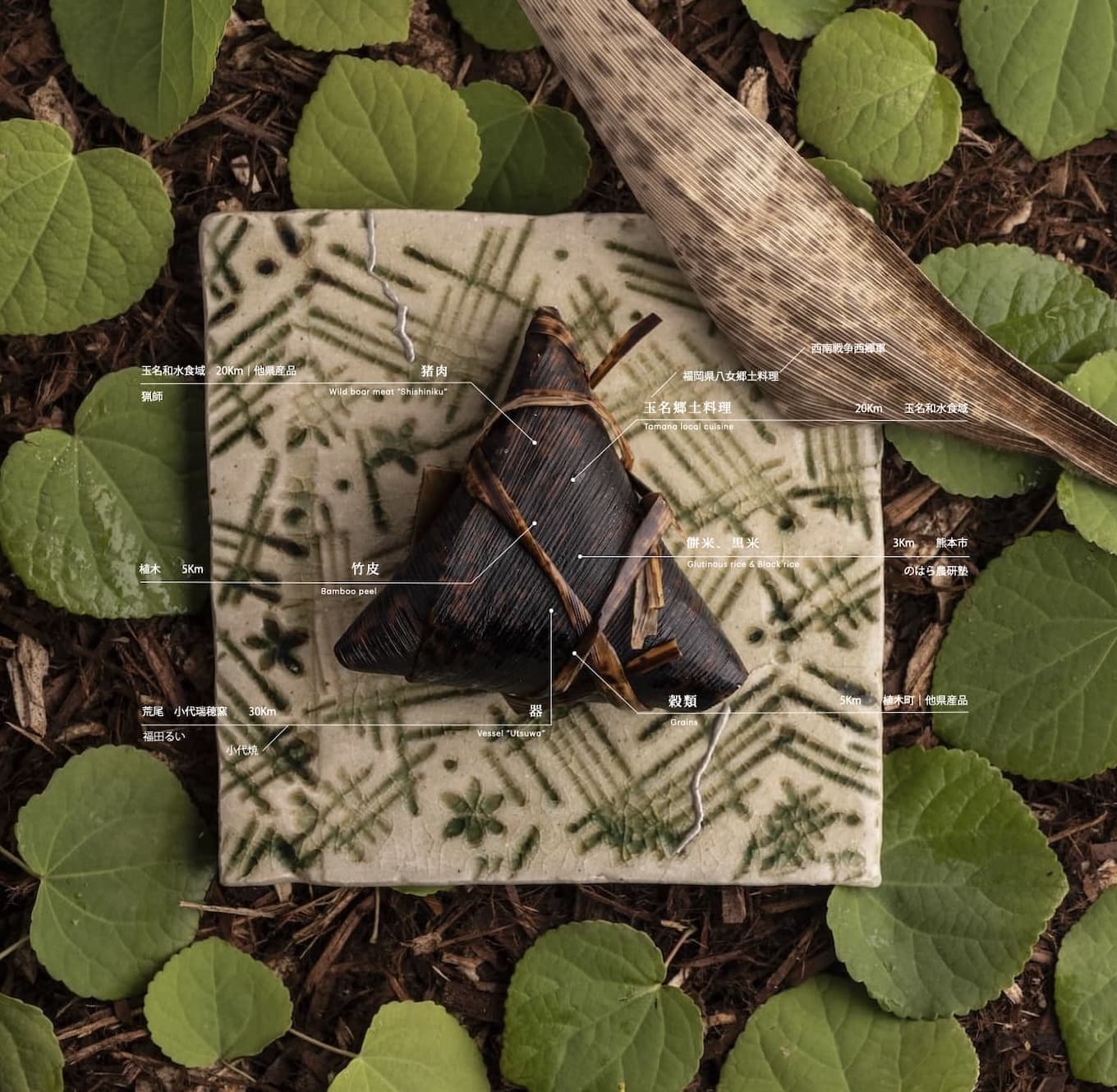 ba_karashirenkon2 100