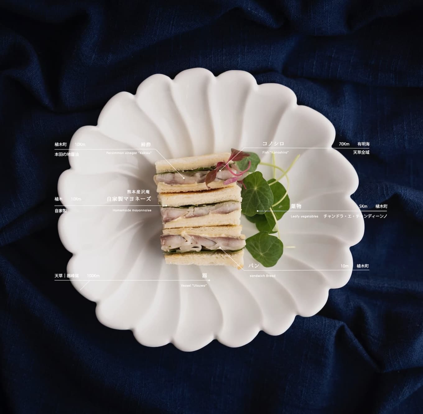 ba_karashirenkon2 100